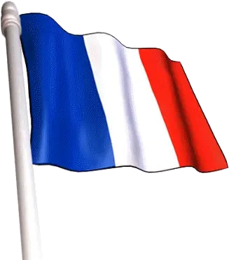 French Flag Gif 12 Images Download Animated Transparent French Flag Png French Flag Transparent