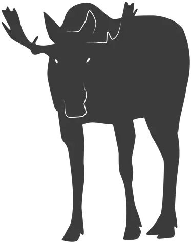 Moose Elk Antler Hoof Silhouette Animal Imagen De Alce Comiendo Png Moose Silhouette Png