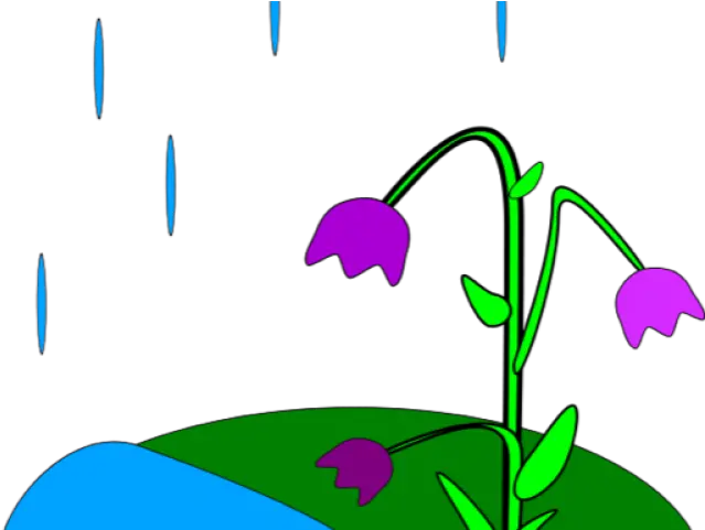 Animated Spring Clipart Raining Animation Png Download Rain Is Formed For Kids Spring Clipart Png