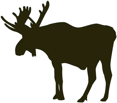 Hunting Moose Left Facing Standing Transparent Png U0026 Svg Caribou Moose Silhouette Png