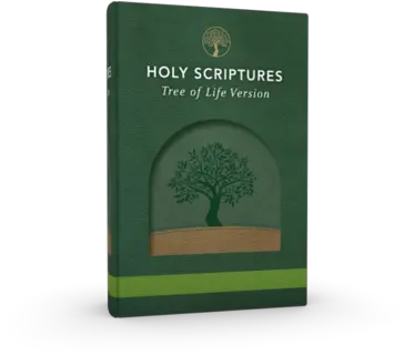 New Holy Scriptures Tree Of Life Version Accordance Book Cover Png Tree Of Life Transparent