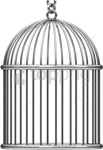 Bird In Cage Png 1 Image Transparent Background Bird Cage Clipart Bird Cage Png