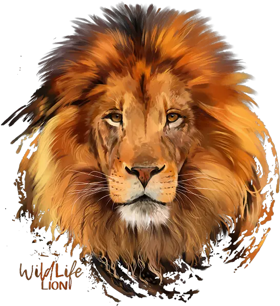 Lion Png Image Picture Lion Face Images Png Lion Head Transparent