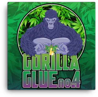 Gorilla Glue Gorilla Glue Sticker Png Gorilla Glue Logo