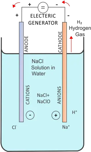 Filesalt Electrolysis Cellpng Wikimedia Commons Electrolysis Transparent Background Salt Transparent Background