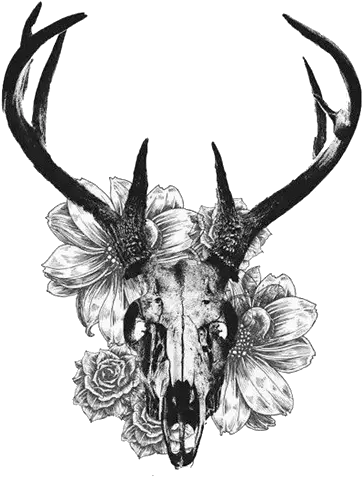 Download And Tattoo Skull Deer White Tailed Creative Black Tattoo Deer Skull Drawings Png Deer Skull Png