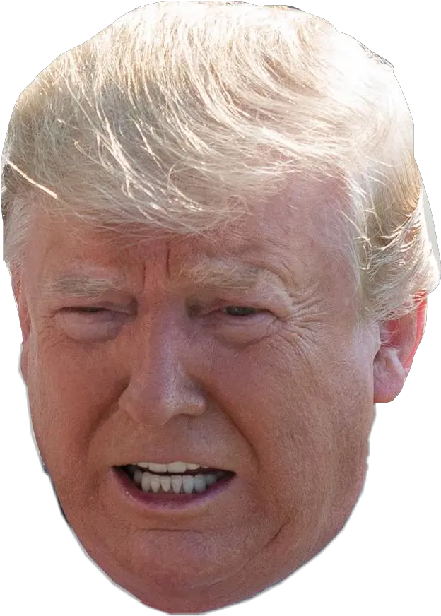 Donald Trump Donaldtrump President Rod Blagojevic Png Donald Trump Head Transparent