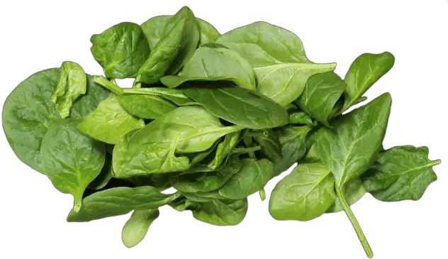 Spinach Leaf Png Baby Spinach Spinach 2870939 Vippng Baby Spinach Png Spinach Png