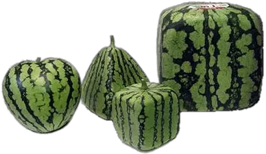 Watermelons Transparent Png Images Square Watermelon Transparent Background Watermelon Transparent Background