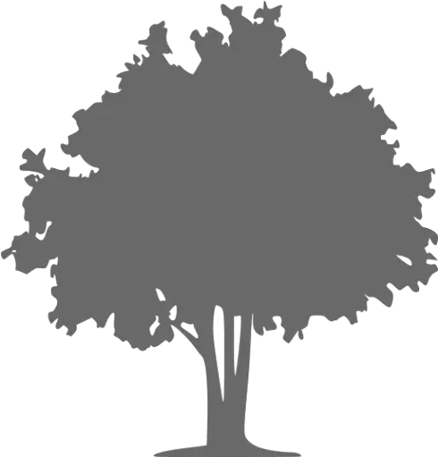 Computer Icons The Tree Doctor Vector Coniferous Vs Deciduous Trees Png Tree Icon Png