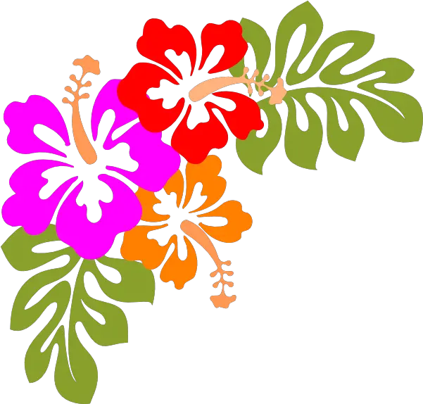 Hawaiian Flower Clipart Hawaiian Flower Stencil Png Hawaiian Flower Png