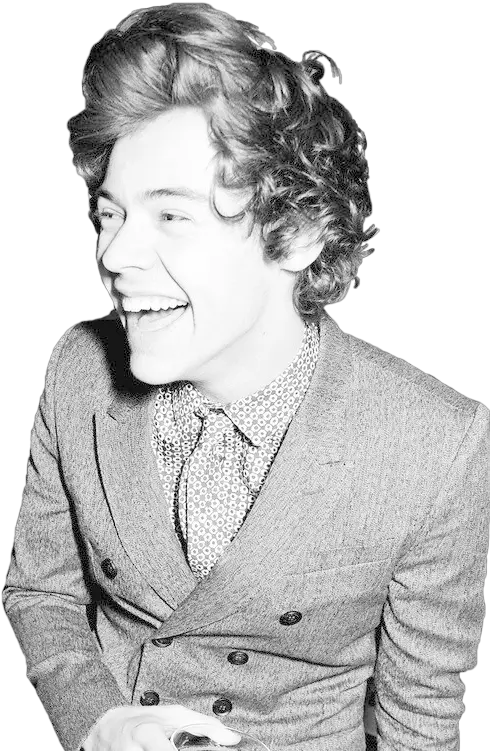Download Hd Harry Styles Transparent Tumblr Harry Styles Harry Styles Brit 2013 Png Harry Icon