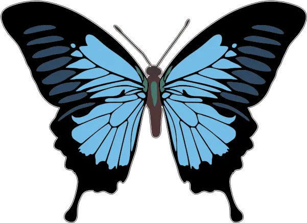 Lower Blue Butterfly Papilio Ulysses Png Butterfly Tattoo Png