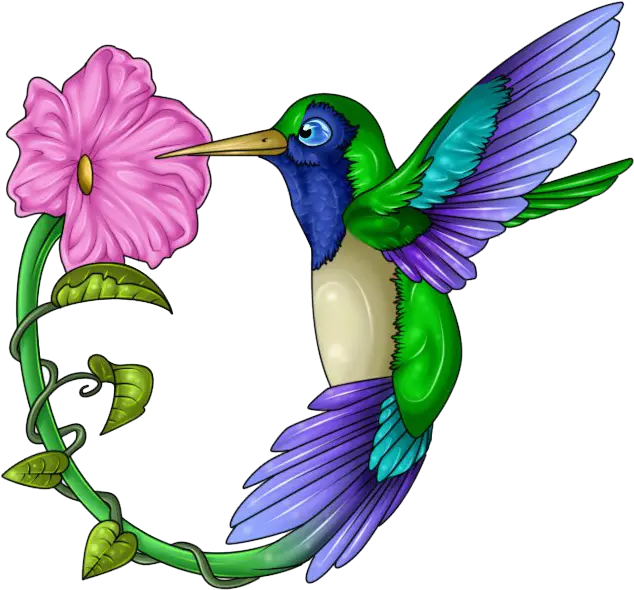 Hummingbird Tattoos Free Download Png All Hummingbird And Flower Drawing Humming Bird Png