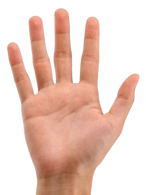 Raising Hands Png