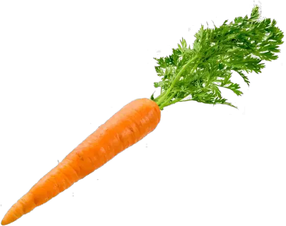 Carrot Png Transparent Image Background