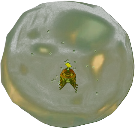 Mad Jelly Zelda Dungeon Wiki Mask Mad Jelly Png Jelly Png