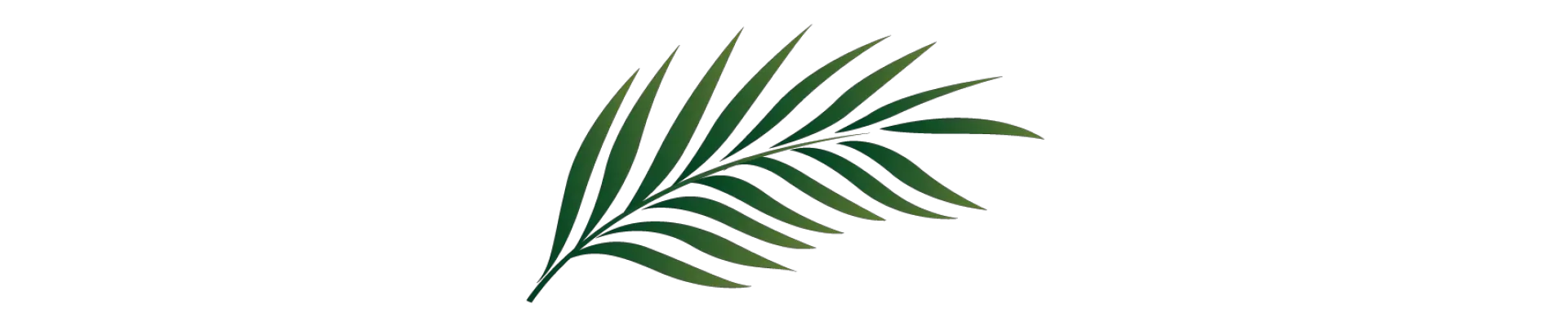 Palm Branch Image Free Cliparts That Palm Leaf Clipart Png Tropical Leaf Png