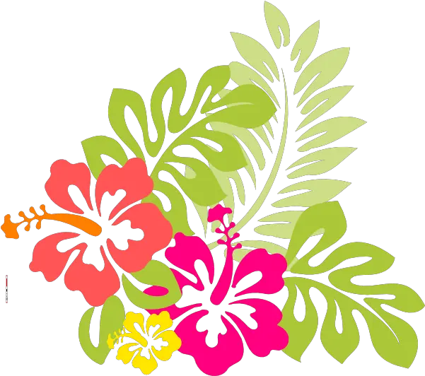 Library Of Picture Free Hibiscus Flower Png Files Hibiscus Clip Art Hibiscus Flower Png