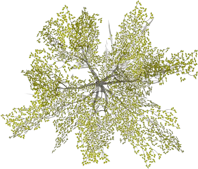 Transparent Site Plan Tree Png Tree Top View Png Drawing Watercolor Tree Png