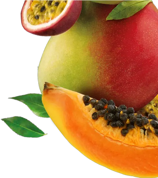 Mango Papaya Png Image With No Papaya Mango Fruit Papaya Png