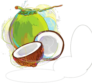 Download Free Fresh Coconut Green Image Icon Fresh Png Coconut Icon