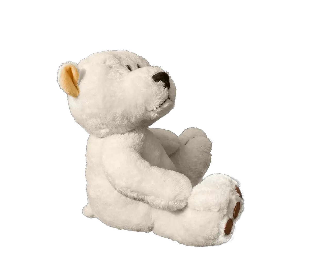 Teddy Bear Soft Free Photo On Pixabay Stuffed Toy Png Teddy Bears Png