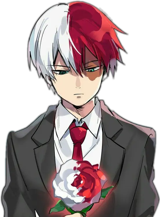 Report Abuse Todoroki Clipart Full Size Png Download Todoroki My Hero Academia Characters Todoroki Transparent