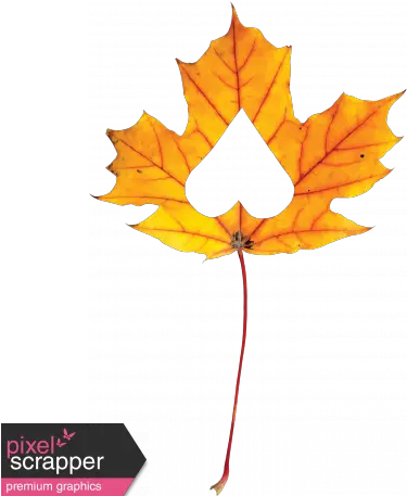 Falling For You Yellow Leaf 1 Graphic By Janet Kemp Transparent Pink And Blue Tape Png Fall Leaf Png