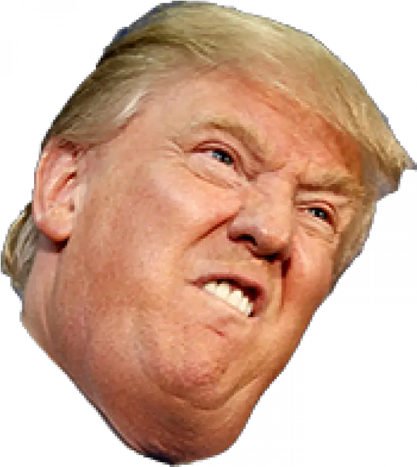 Donald Trump Head Transparent Things About Donald Trump Png Trump Transparent Background