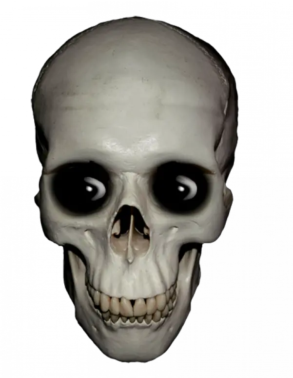 Funny Skeleton Png Transparent Images U2013 Free Skull Clip Art Skeleton Transparent Background