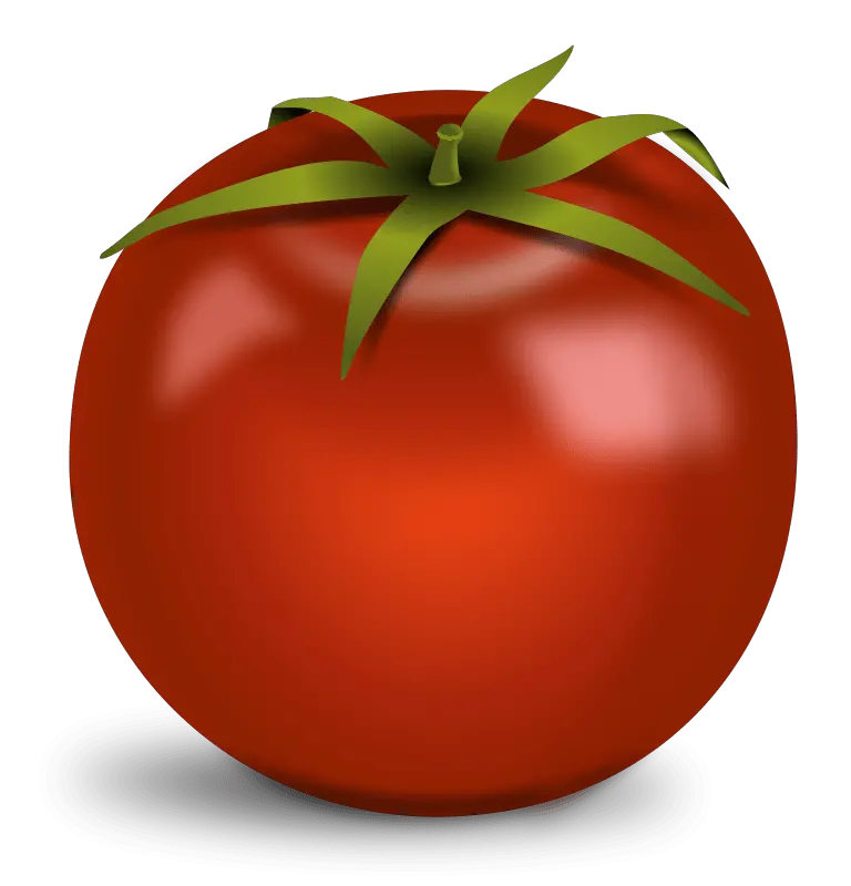 Download Tomato Clip Art Free Png For Transparent Background Tomato Clip Art Tomato Clipart Png