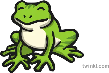 Frog Icon Illustration Frog Twinkl Png Frog Icon Png