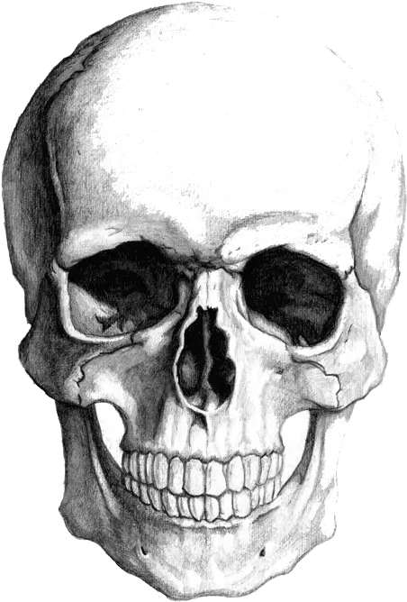 Top Gday Freinds Skull Stickers For Android U0026 Ios Gfycat Skull Shading Png Skull Emoji Transparent