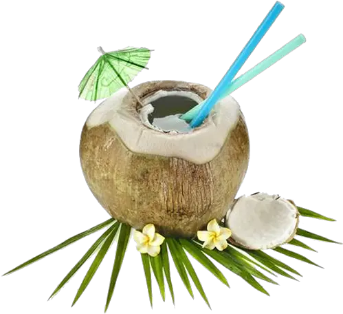 Nariyal Cool Packed Tender Coconut Water In Hyderabad Pudding Png Coconut Transparent Background