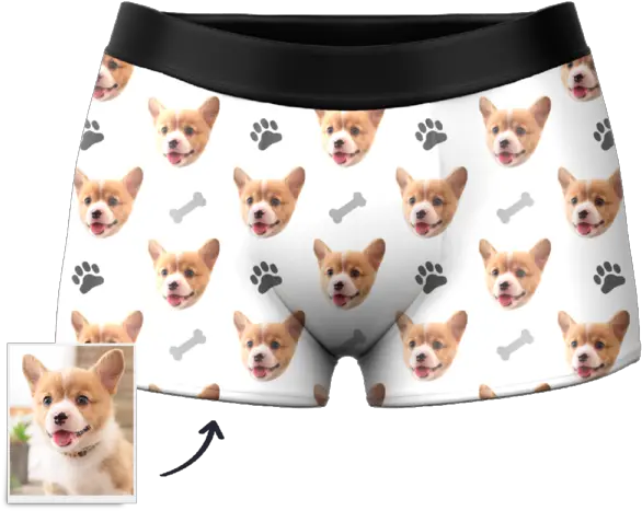 Pembroke Welsh Corgi Png Image Personalizada De Ropa Interior Corgi Png