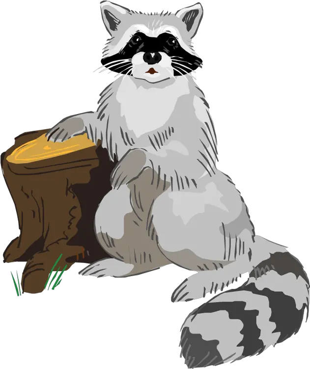 Free Raccoon Clipart 2 Clipartix Transparent Background Cute Raccoon Clip Art Png Raccoon Transparent Background