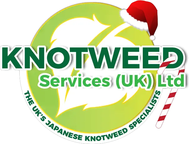 Merry Christmas U0026 Happy New Year Knotweedservicescouk Anime Png Merry Christmas Logo