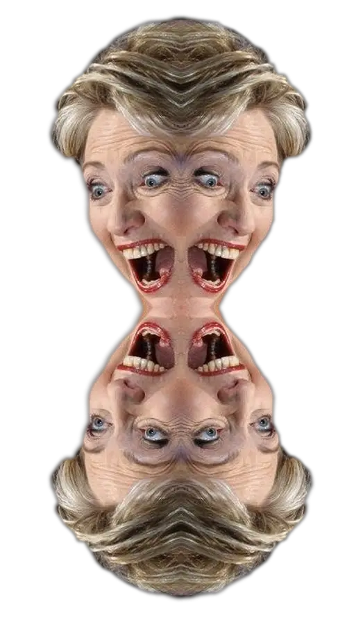 Download Personfour Face Hillary Clinton Your Little Dog Your Little Dog Too Png Hillary Clinton Transparent Background