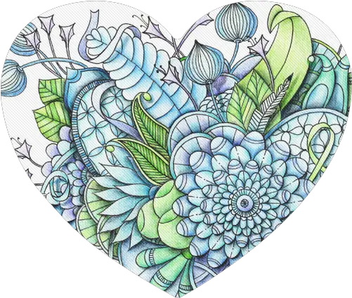 Flowers Drawing Png Hydrangea Flower Drawing Png