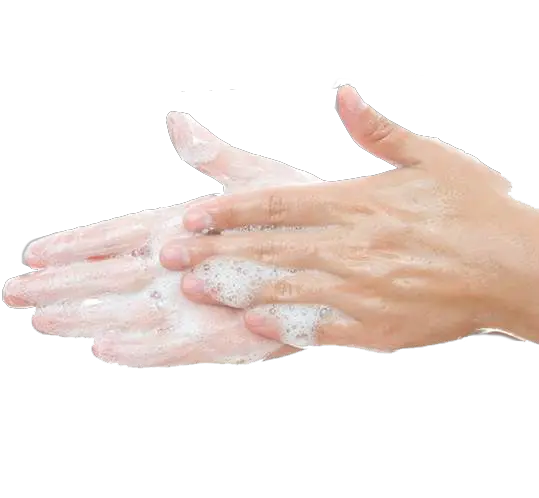 Hands Clipart Png