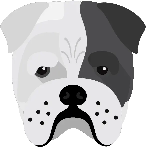 Create A Tailor Made Shop Just For Your Bull Pei Soft Png Bull Dog Icon