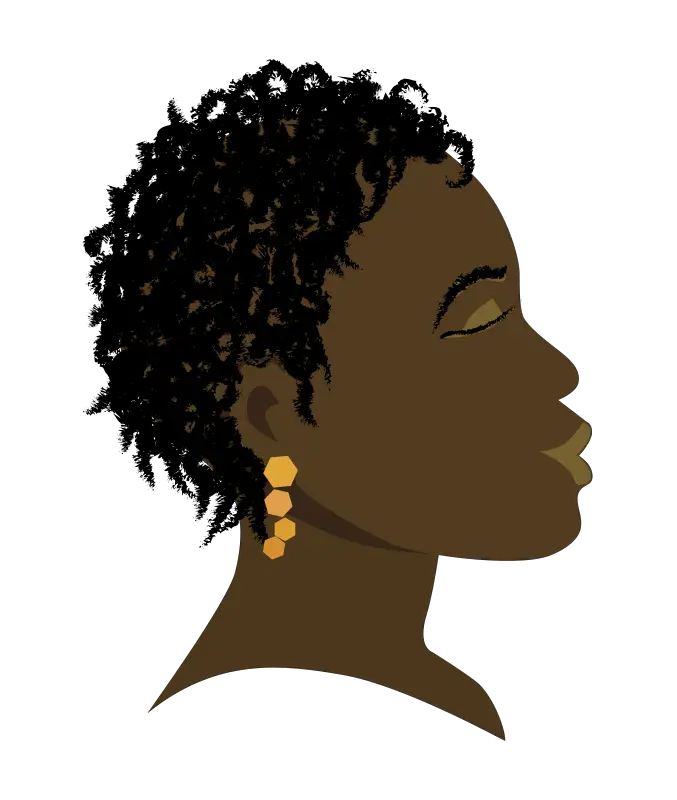 Free African Woman Head Clip Art African Png 677x800 Woman African American Transparent Png Afro Png