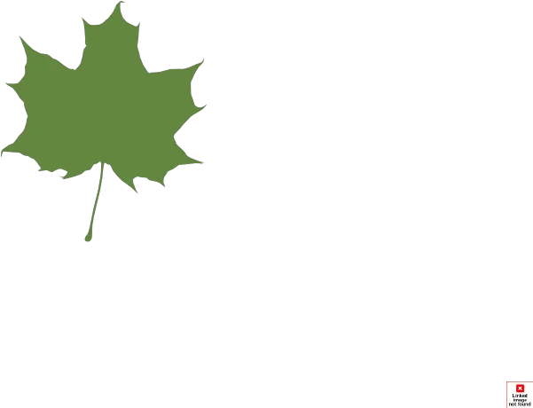Green Maple Leaf Clip Art Leaves Silhouette Language Png Leaf Silhouette Png