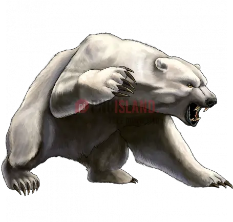 Png Image With Transparent Background Polar Bear Angry Drawing Bears Png