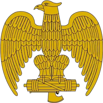 Why Do Military Uniforms Use The Eagle Fascist Eagle Png Spread Eagle Icon