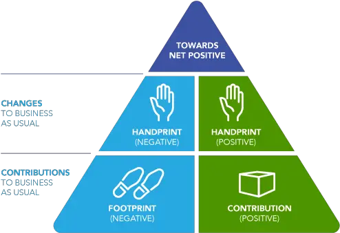 Contact U2014 Net Positive Project Positive Handprint Negative Footprint Png Handprint Png