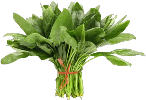 Download Product Overview Spinach Hdpe Grow Bags 18 Inches Png Spinach Png