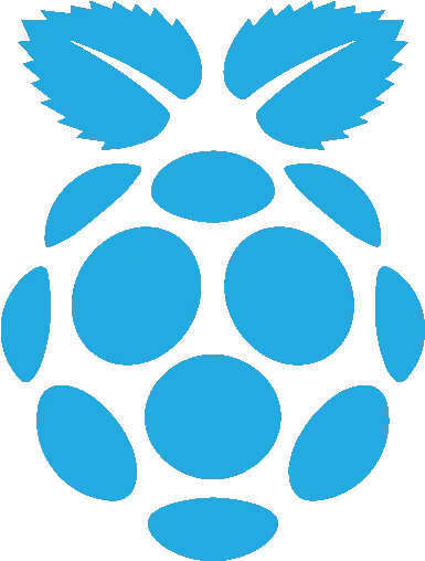 Dcl Raspberry Pi Jam Durham County Library Raspberry Pi White Logo Png Pi Icon