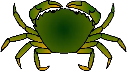 Fccp40 Fiddler Crab Clipart Png Today1580807984 Green Crab Clip Art Crab Transparent Background